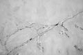 Crack. Cracked concrete wall of the house. Close-up. Black white grunge background . Broken. Distressed. Royalty Free Stock Photo