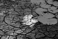 Crack dry ground drought background. Royalty Free Stock Photo