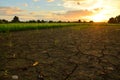 Crack and dry ground at rice field. Royalty Free Stock Photo