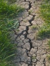 Crack in the earth from dry weather