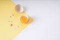 Top view of raw chicken egg with yolk Royalty Free Stock Photo