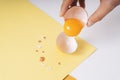 Top view of raw chicken egg with yolk Royalty Free Stock Photo