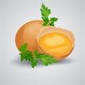 Crack eggs with yolks set with parsley. Baking and cooking Ingredients. Royalty Free Stock Photo