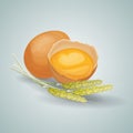 Crack eggs with yolks set with wheat. Baking and cooking Ingredients. Royalty Free Stock Photo