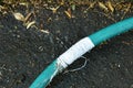 Crack green watering rubber tube repairing by white tape roll with dry leaf on frontyard garden ground