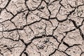 Crack ground of drought background. Royalty Free Stock Photo