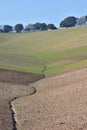 Crack in the ground that goes from the dry field to one with the first shoots of green plants Royalty Free Stock Photo