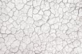 Crack ground texture , drought season background Royalty Free Stock Photo