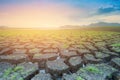 Crack mud ground with little green grass Royalty Free Stock Photo