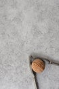 Crack the Nut Walnut and nutcracker on grey background Royalty Free Stock Photo