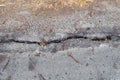 Crack old asphalt road Royalty Free Stock Photo