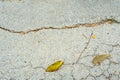 Crack old asphalt road Royalty Free Stock Photo