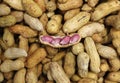 A crack peanut on the top of pile of peanuts Royalty Free Stock Photo
