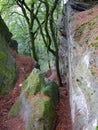 Crack Between Rocks on the Mullerthal Trail in Berdorf, Luxembourg