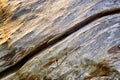 Crack in a rotted tree trunk as a natural background Royalty Free Stock Photo