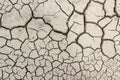 Crack soil on dry season