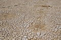 Crack soil on dry season, Global warming / cracked dried mud / D Royalty Free Stock Photo