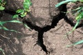 Crack soil on dry season, Global worming effect Royalty Free Stock Photo