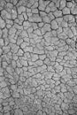 Crack soil on dry season, Global worming effect Royalty Free Stock Photo