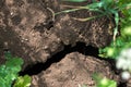 Crack soil on dry season, Global worming effect Royalty Free Stock Photo