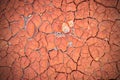 Crack soil ground texture. The natural texture of soil with cracks. Broken clay surface of barren dryland wasteland closeup.