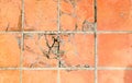 Crack tiles square clay orange floor