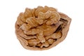 Crack walnut Royalty Free Stock Photo