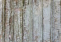 Cracked aged wooden surface gray white painted wood planks texture background backdrop