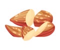 Cracked Almond Kernel Without Nutshell Vector Illustration. Organic Food Ingredient Royalty Free Stock Photo