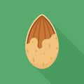 Cracked Almond with Shell Flat Vector Illustration Royalty Free Stock Photo