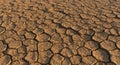 Cracked, arid soil forming polygonal patterns typical of a dry, desert landscape. The Royalty Free Stock Photo