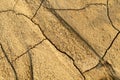 Cracked arid soil texture background. Texture of the earth during drought. Top view. Dried Land Suffering from Drought.