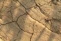 Cracked arid soil texture background. Texture of the earth during drought. Top view. Dried Land Suffering from Drought. Royalty Free Stock Photo