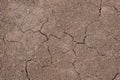 Cracked aridity soil ground shortly after rain.abstract background Royalty Free Stock Photo