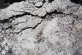 Cracked asphalt Royalty Free Stock Photo