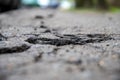 Cracked asphalt in the city, cracks and potholes on the road, taken from the bottom point, visible horizon line, selective focus.