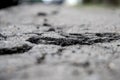 Cracked asphalt in the city, cracks and potholes on the road, taken from the bottom point, visible horizon line, selective focus.