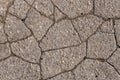 Cracked asphalt road surface texture. Grey texture of the road Royalty Free Stock Photo