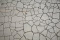 Cracked asphalt texture Royalty Free Stock Photo