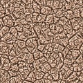 Cracked and barren desert terrain