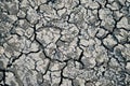 cracked black dry ground. black soil dried