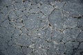 Cracked blacktop Royalty Free Stock Photo