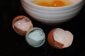 Cracked blue and brown egg shells Royalty Free Stock Photo