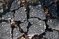 Cracked Broken Asphalt Pavement Royalty Free Stock Photo