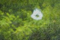 A cracked and broken glass window against green background Royalty Free Stock Photo