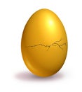 Cracked broken Nest egg Royalty Free Stock Photo