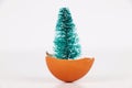 Christmas tree in broken egg. Royalty Free Stock Photo