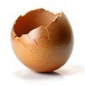 Cracked Brown Egg Shell Delicate Nature Royalty Free Stock Photo