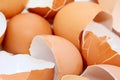 Cracked brown egg shells closeup Royalty Free Stock Photo