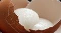 A cracked brown eggshell reveals a white interior Royalty Free Stock Photo